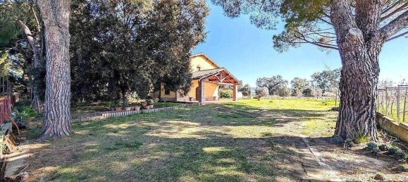 12 غرف نوم فيلا في Grosseto, Italy رقم 331445 4