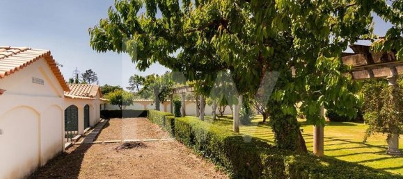 5 bedrooms Villa in Pombal, Portugal No. 143304 18