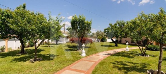 5 bedrooms Villa in Pombal, Portugal No. 143304 11