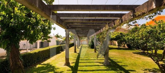 5 bedrooms Villa in Pombal, Portugal No. 143304 20