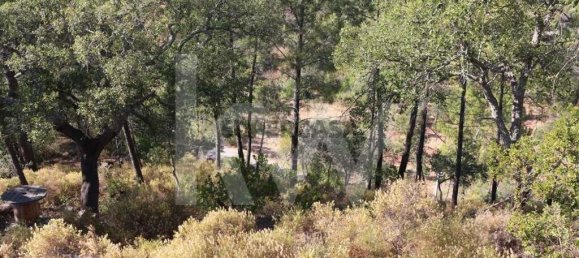 Terrain à Loule, Portugal No. 157602 13