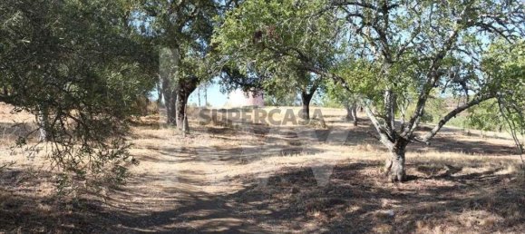 Terrain à Loule, Portugal No. 157602 6