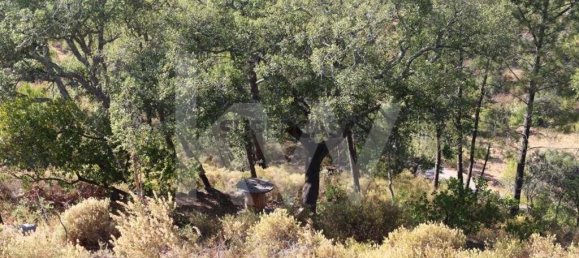 Terrain à Loule, Portugal No. 157602 15