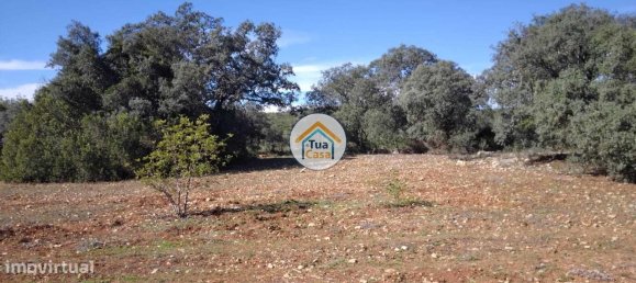 16500m² Land in Sao Bras de Alportel, Portugal No. 76030 11