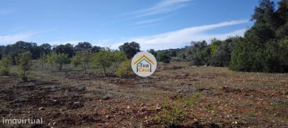 16500m² Land in Sao Bras de Alportel, Portugal No. 76030 2