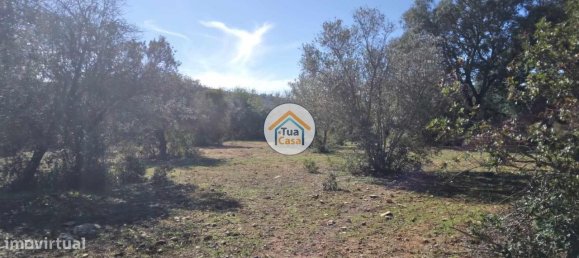 16500m² Land in Sao Bras de Alportel, Portugal No. 76030 15