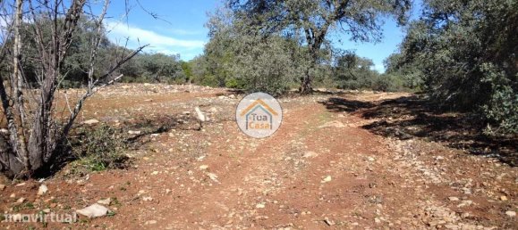 16500m² Land in Sao Bras de Alportel, Portugal No. 76030 9