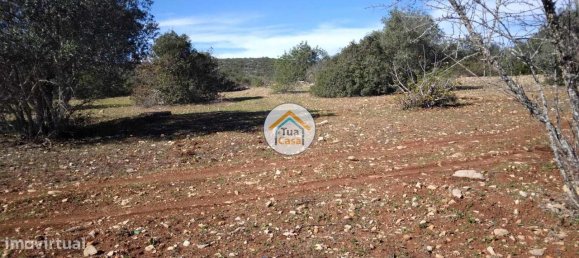 16500m² Land in Sao Bras de Alportel, Portugal No. 76030 10