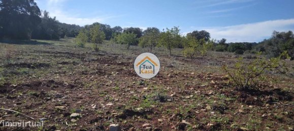 16500m² Land in Sao Bras de Alportel, Portugal No. 76030 13