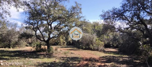 16500m² Land in Sao Bras de Alportel, Portugal No. 76030 16