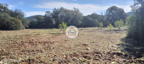 16500m² Land in Sao Bras de Alportel, Portugal No. 76030 3