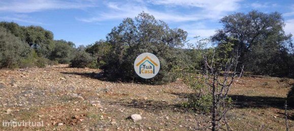 16500m² Land in Sao Bras de Alportel, Portugal No. 76030 8