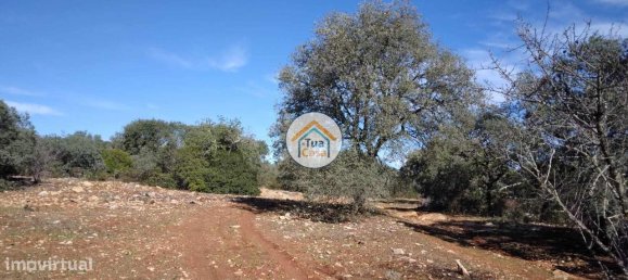 16500m² Land in Sao Bras de Alportel, Portugal No. 76030 12