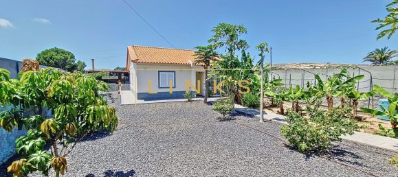 3 bedrooms Villa in Porto Santo, Portugal No. 141239 5