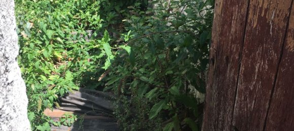 4 bedrooms House in Guimaraes, Portugal No. 189891 14