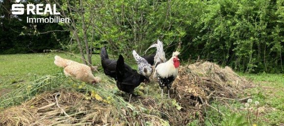 5غرفة منزل في Klosterneuburg, Austria رقم 184809 20