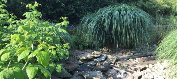 5غرفة منزل في Klosterneuburg, Austria رقم 184809 16