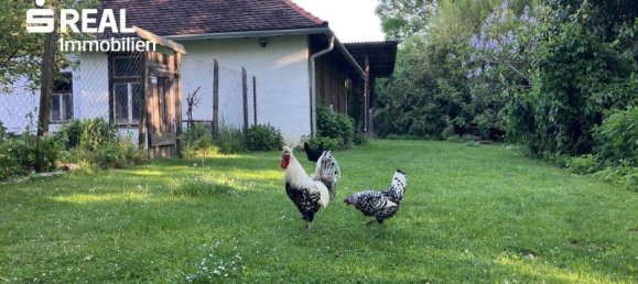 5غرفة منزل في Klosterneuburg, Austria رقم 184809 21