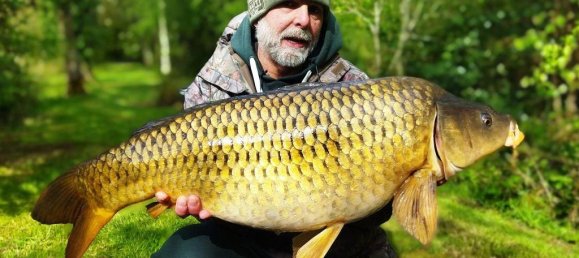 Grundstück in Le Croisty, France, Nr. 308147 23