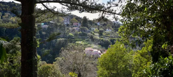 12 bedrooms Hotel in Sintra, Portugal No. 135996 12