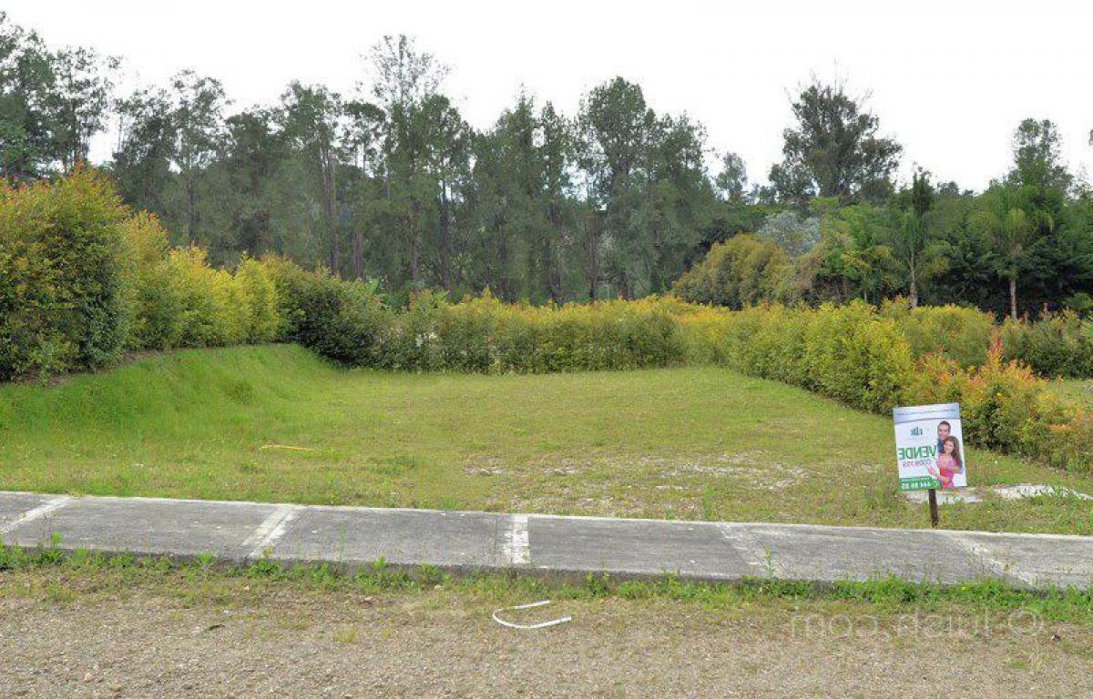  Land in Antioquia, Colombia No. 376