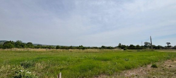 1591m² Land in Purbach am Neusiedler See, Austria No. 155331 2