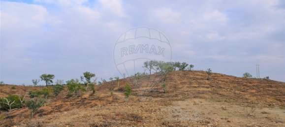 150000m² Warehouse in Sao Martinho das Amoreiras, Portugal No. 50182 2