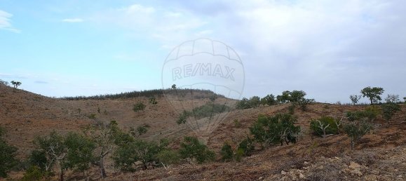 150000m² Warehouse in Sao Martinho das Amoreiras, Portugal No. 50182 3