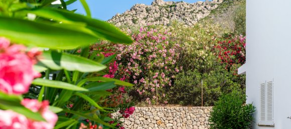 Ático de 3 dormitorios en Mallorca, Spain No. 161694 24