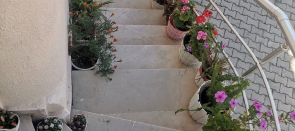 Villa 3+1 in Alanya, Turkey No. 10835 23