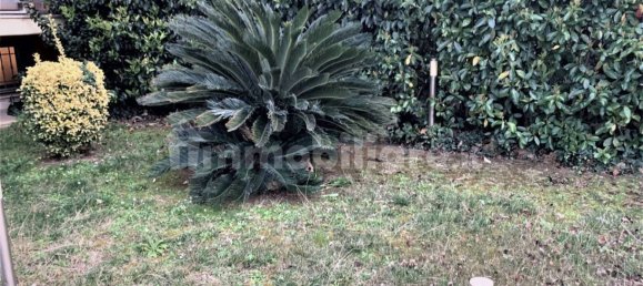 7 غرف نوم منزل في Livorno, Italy رقم 128884 31