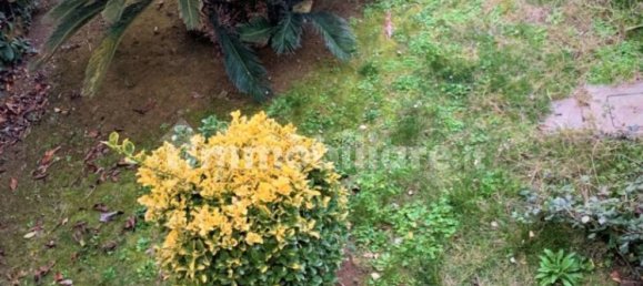 7 غرف نوم منزل في Livorno, Italy رقم 128884 28