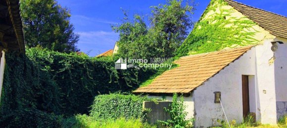 Casa de 4 habitaciónes en Eisenstadt Umgebung, Austria No. 104080 5