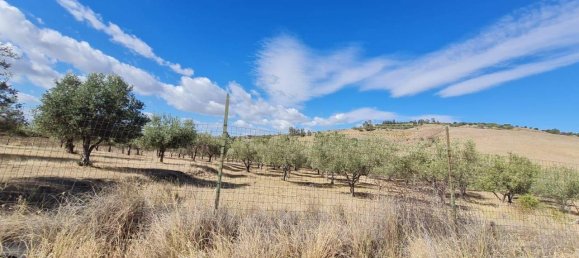 7500m² Land in Motta Sant'Anastasia, Italy No. 79348 5