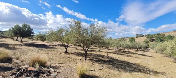 7500m² Land in Motta Sant'Anastasia, Italy No. 79348 2