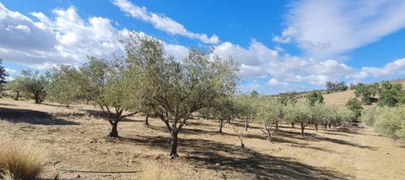 7500m² Land in Motta Sant'Anastasia, Italy No. 79348 3