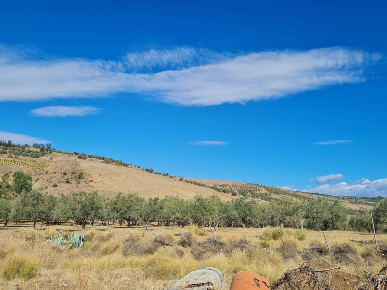 7500m² Land in Motta Sant'Anastasia, Italy No. 79348