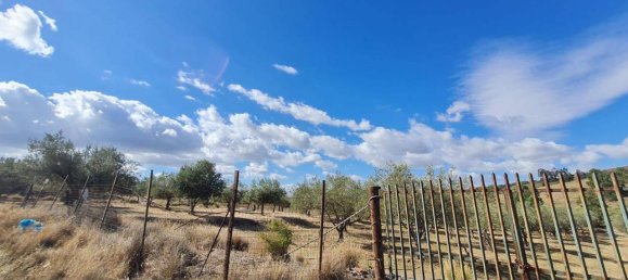 7500m² Land in Motta Sant'Anastasia, Italy No. 79348 4