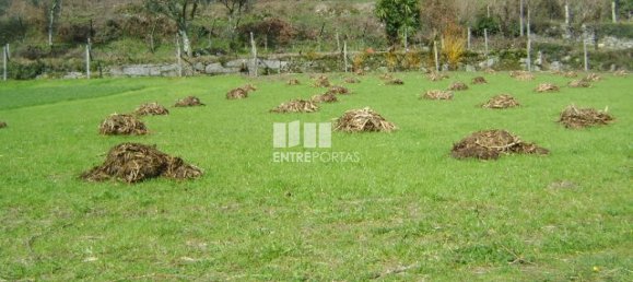 Terreno en Marco de Canaveses, Portugal 4690 m² No. 46406 5