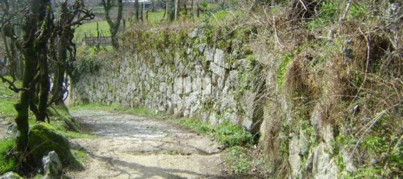 Terreno en Marco de Canaveses, Portugal 4690 m² No. 46406 9