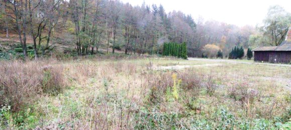  Land in Main-Kinzig, Germany No. 163225 3