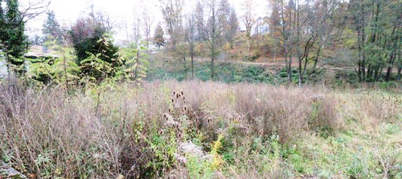  Land in Main-Kinzig, Germany No. 163225 2