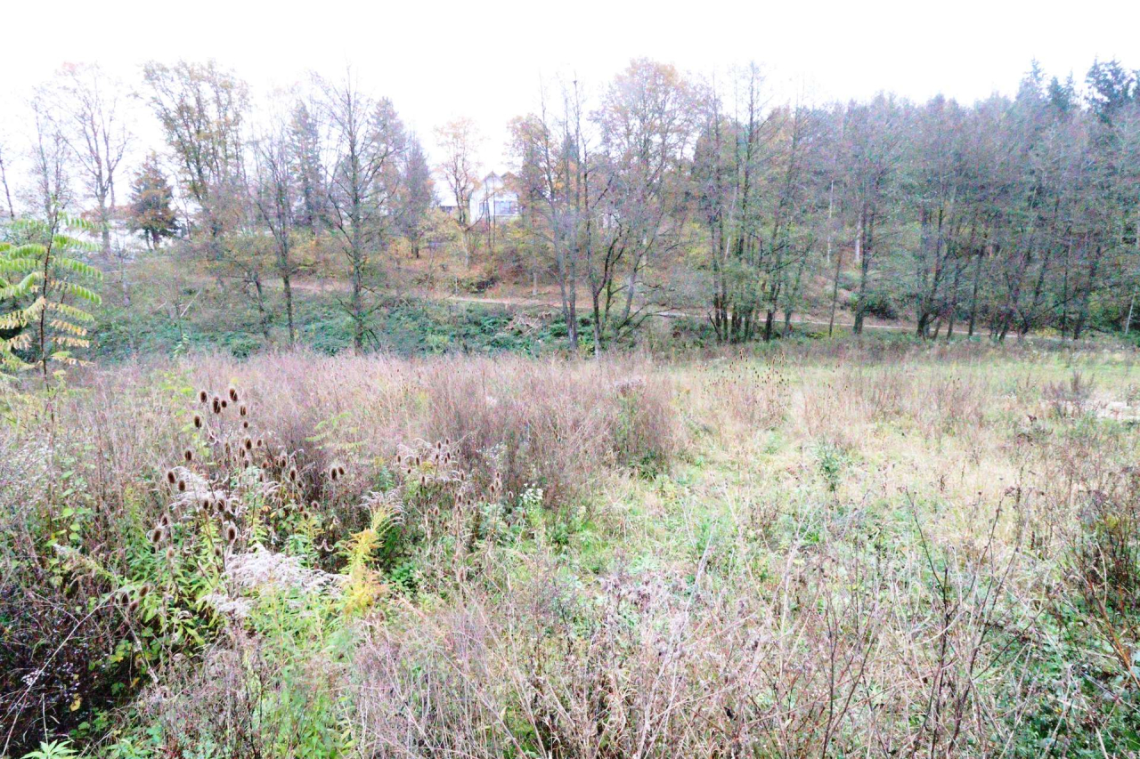  Land in Main-Kinzig, Germany No. 163225