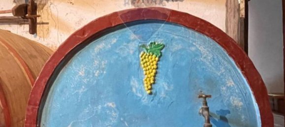 Дом с 3 спальнями в Филоттрано, Италия № 106415 16