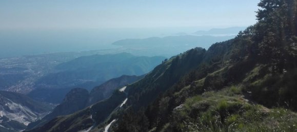  عقار تجاري في Massa, Italy 200متر مربع رقم 47011 9