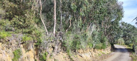 Grundstück in Mafra, Portugal 3562m², Nr. 64252 3