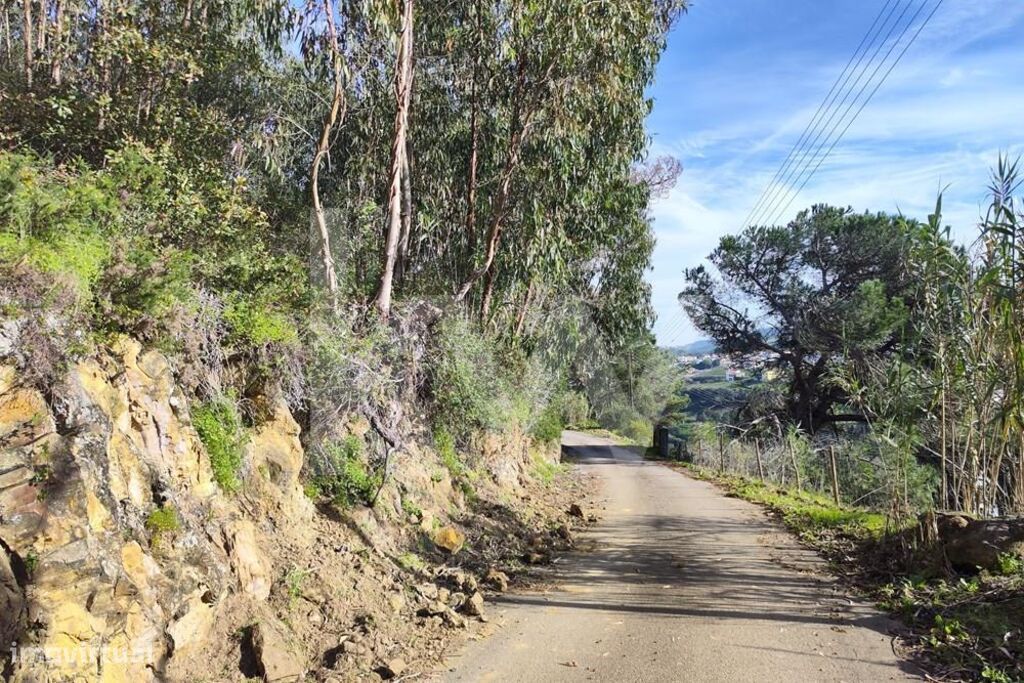 Grundstück in Mafra, Portugal 3562m², Nr. 64252