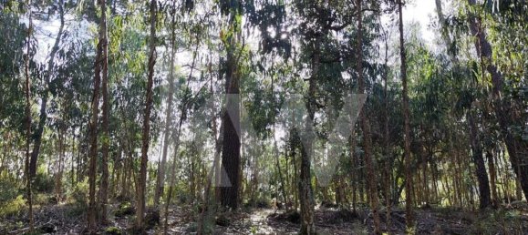 Grundstück in Mafra, Portugal 3562m², Nr. 64252 15