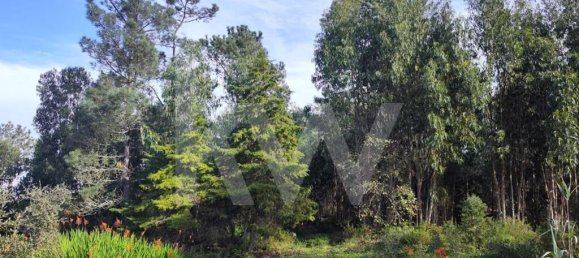 Grundstück in Mafra, Portugal 3562m², Nr. 64252 6