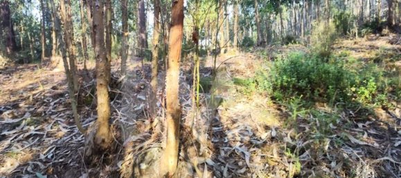 Grundstück in Mafra, Portugal 3562m², Nr. 64252 10